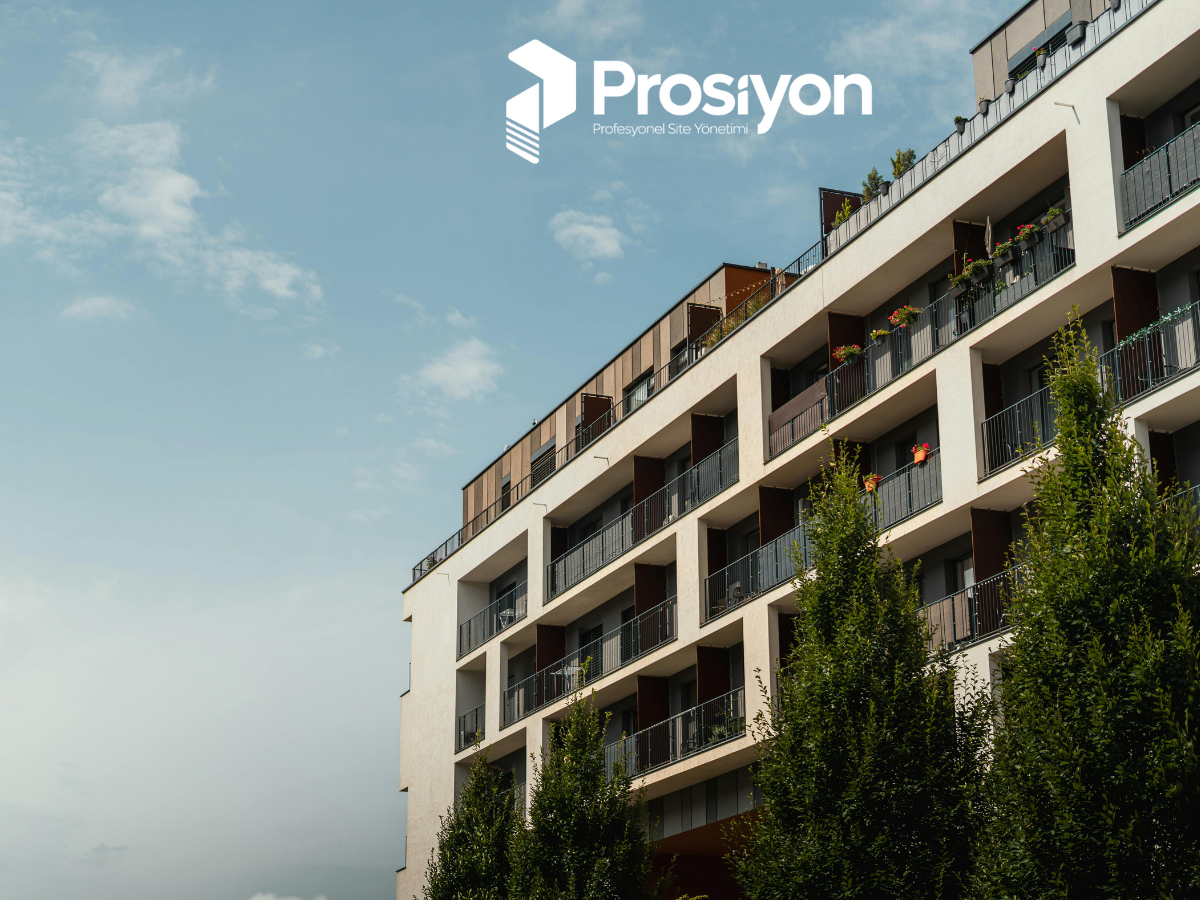 Profesyonel Bina Yönetimi